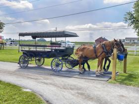 Amish Experiences